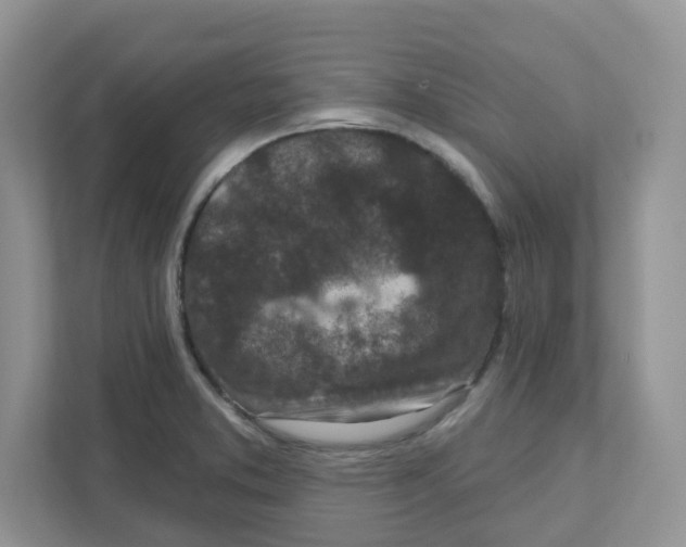 X0000110881373200907091413