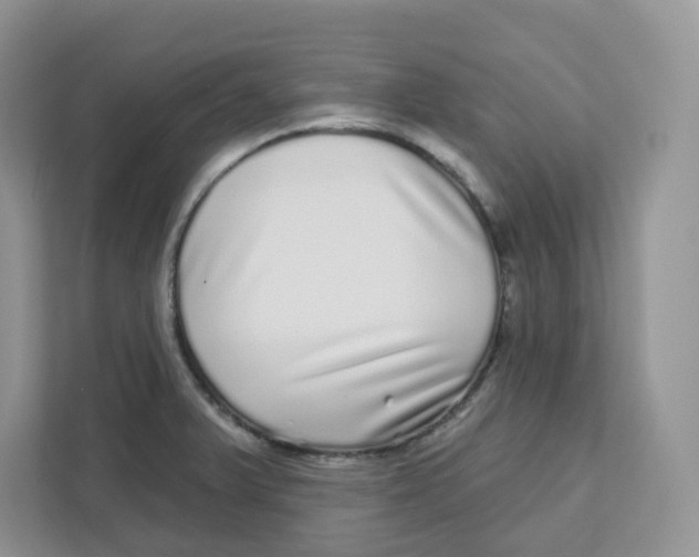 X0000110881375200907091413