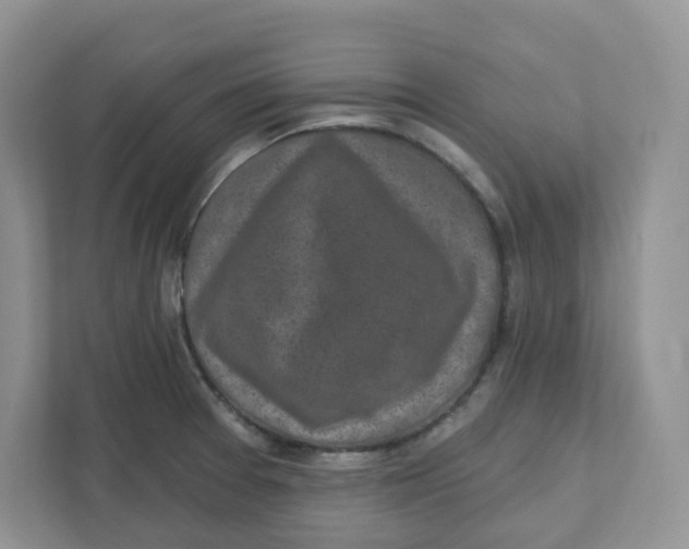 X0000110881377200907091413