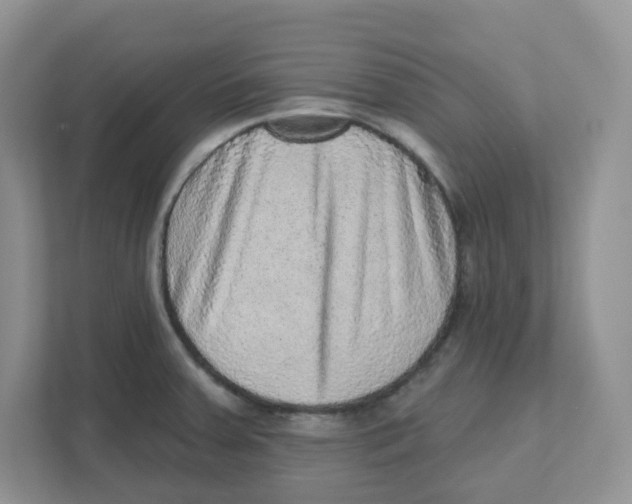 X0000110881379200907091413