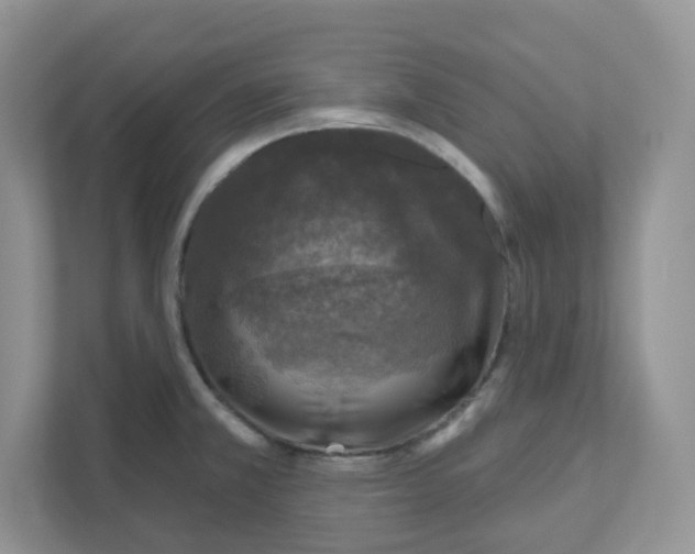 X0000110881381200907091413