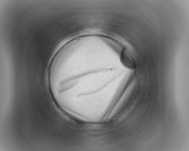 X0000110881382200907091413