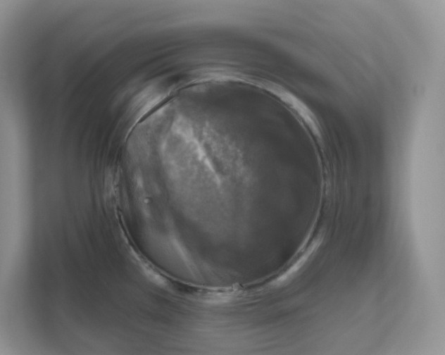 X0000110881385200907091413