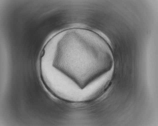 X0000110881391200907091412