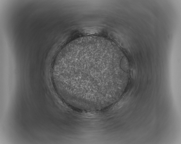 X0000110881393200907091412