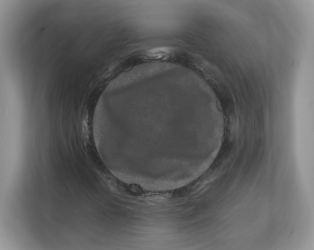 X0000110881394200907091412
