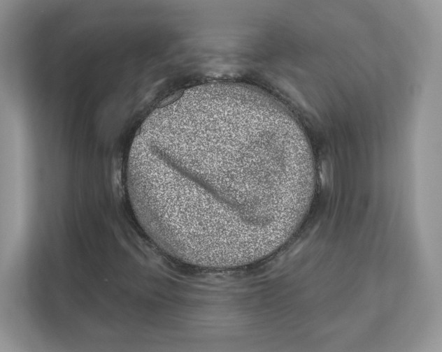 X0000110881396200907091412