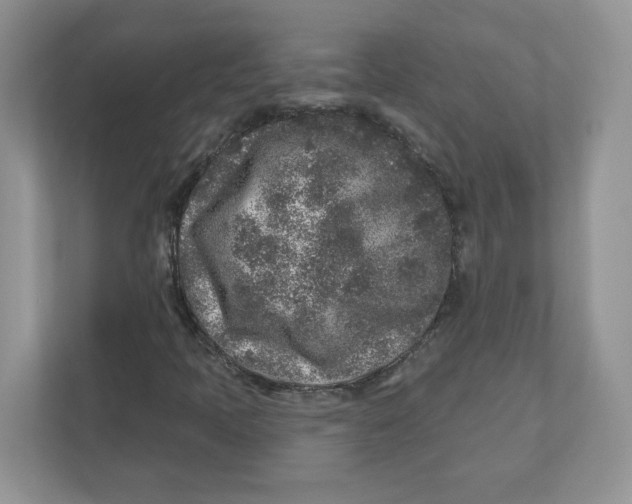 X0000110881397200907091412
