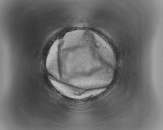X0000110881398200907091412