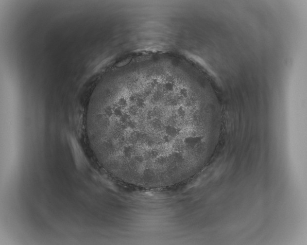 X0000110881399200907091412