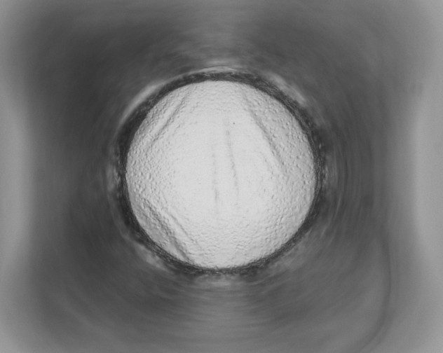 X0000110881400200907091412