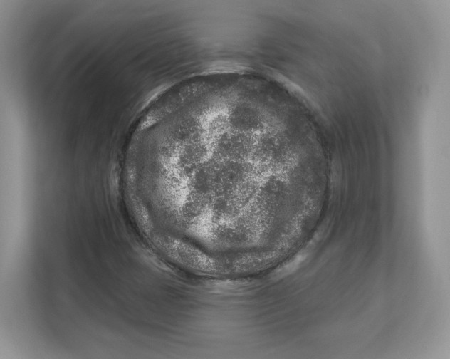X0000110881401200907091412