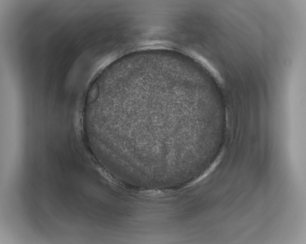 X0000110881405200907091412