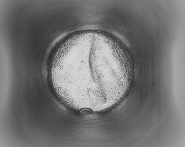 X0000110881406200907091412