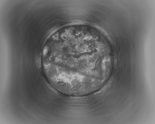 X0000110881409200907091412
