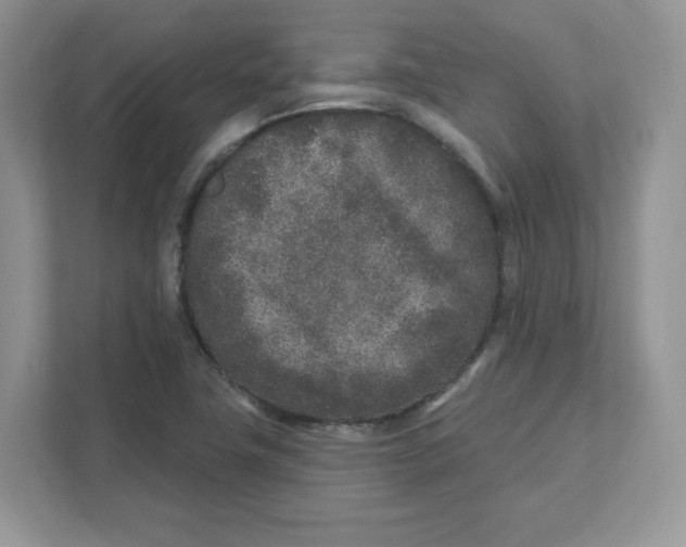 X0000110881411200907091412