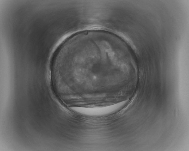 X0000110881414200907091412