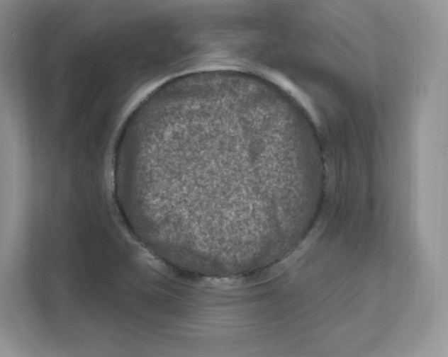 X0000110881415200907091412