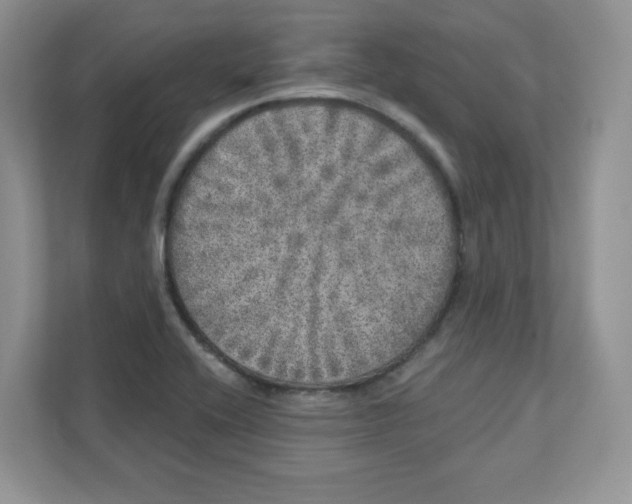 X0000110881416200907091412