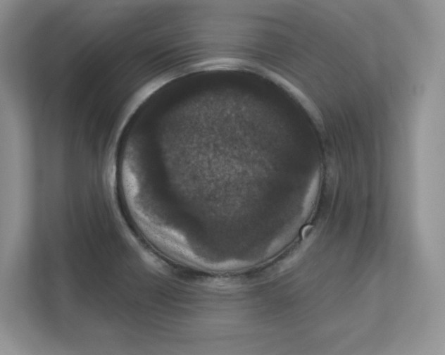 X0000110881418200907091412