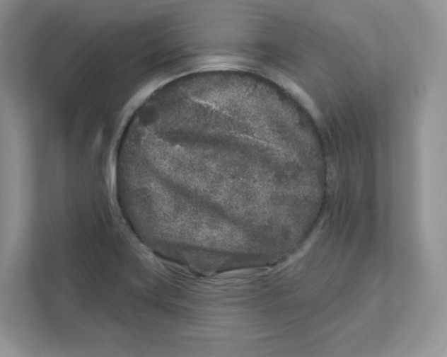 X0000110881419200907091412