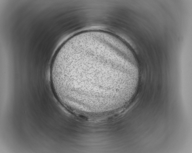 X0000110881420200907091412