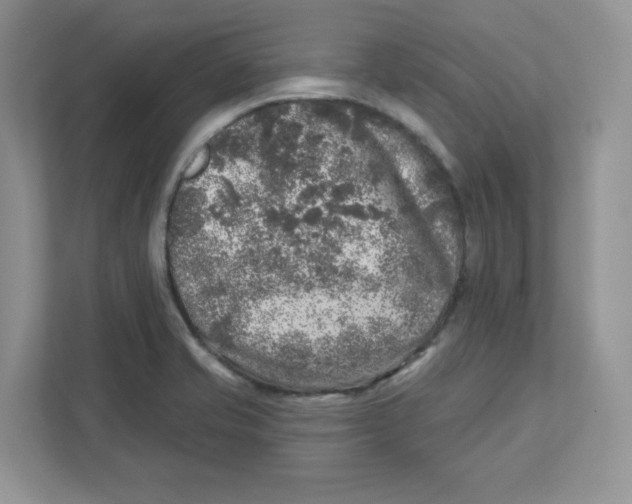 X0000110881421200907091412