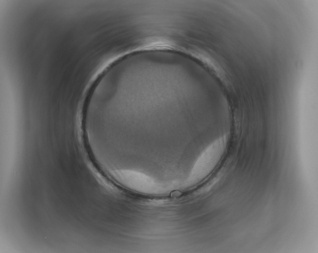 X0000110881422200907091412