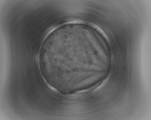 X0000110881425200907091412