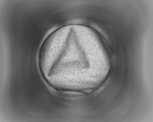 X0000110881426200907091412