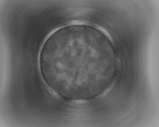 X0000110881427200907091412