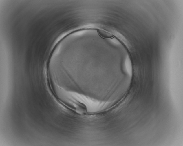 X0000110881428200907091412