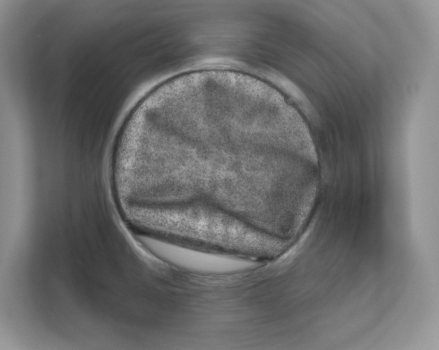 X0000110881430200907091412