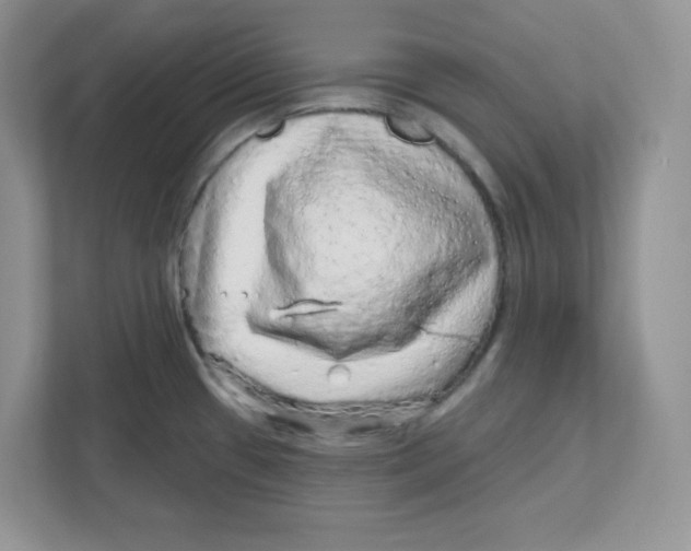X0000110881433200907091412