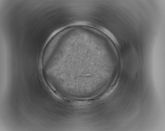 X0000110881436200907091412