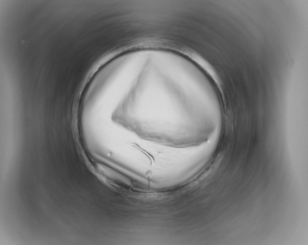 X0000110881437200907091412