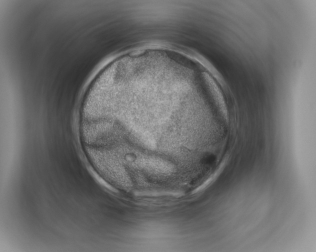 X0000110881438200907091412