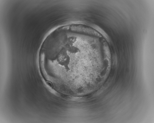 X0000110881439200907091412