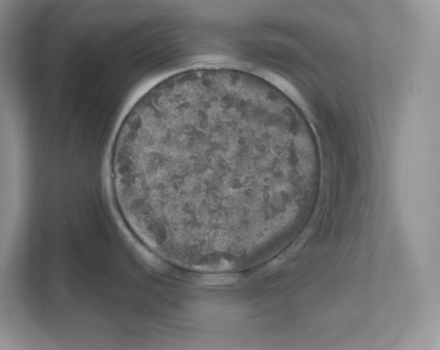 X0000110881440200907091412