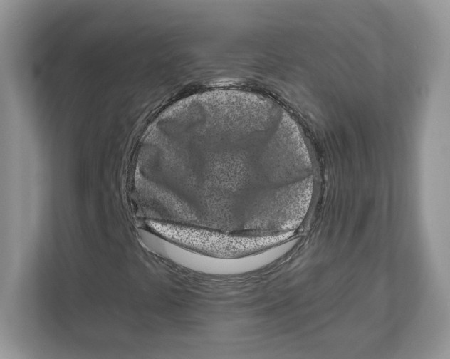 X0000110881441200907091412