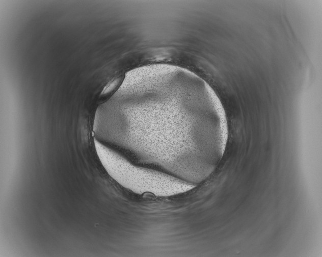 X0000110881442200907091412