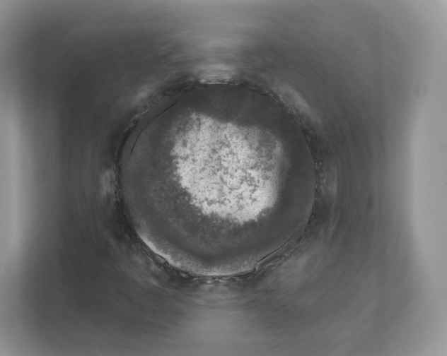 X0000110881445200907091412