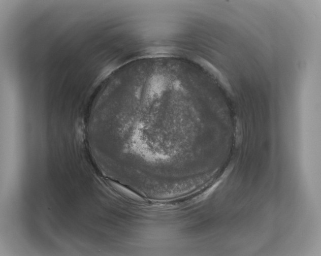 X0000110881449200907091412