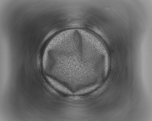 X0000110881450200907091412