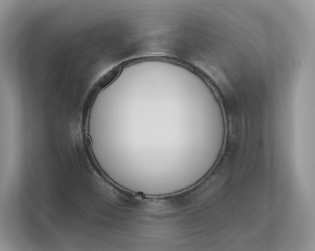 X0000110881452200907091412