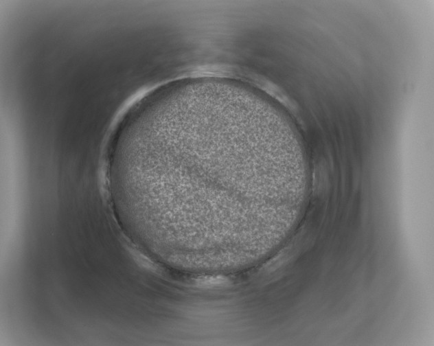 X0000110881454200907091412