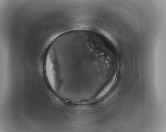 X0000110881455200907091412
