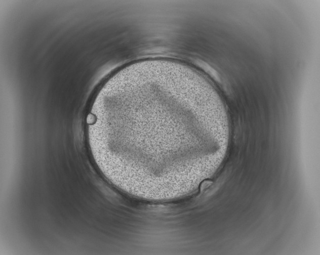 X0000110881458200907091412