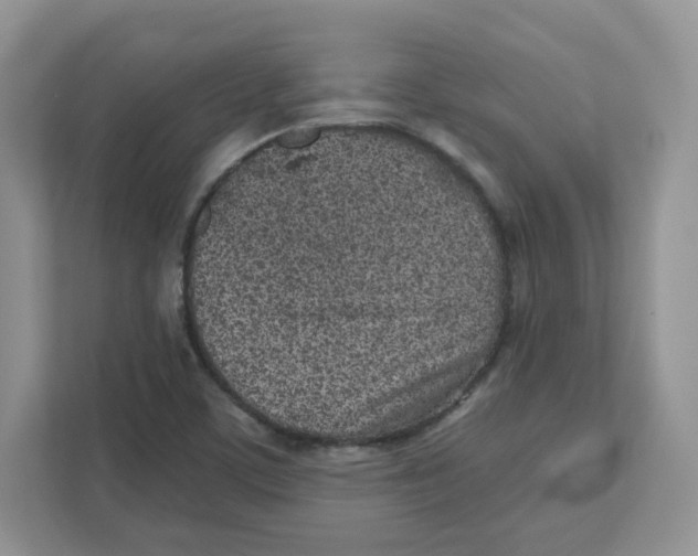 X0000110881459200907091412