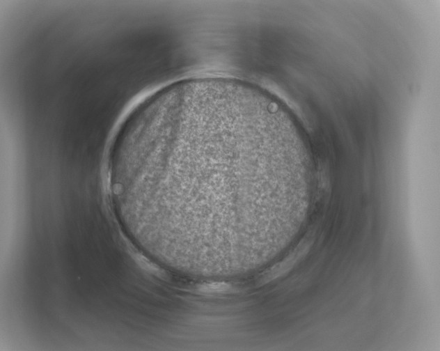 X0000110881462200907091412